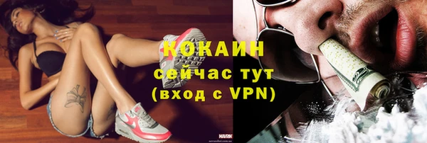 ПСИЛОЦИБИНОВЫЕ ГРИБЫ Верхнеуральск