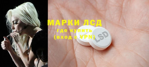 ПСИЛОЦИБИНОВЫЕ ГРИБЫ Верхнеуральск