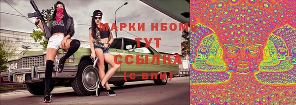 ПСИЛОЦИБИНОВЫЕ ГРИБЫ Верхнеуральск