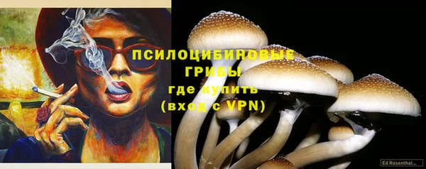 бошки Беломорск